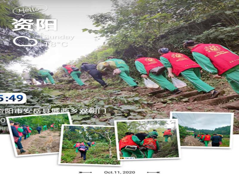 信泰志愿服務(wù)隊(duì)，有你們?cè)?，他們不孤單? class=